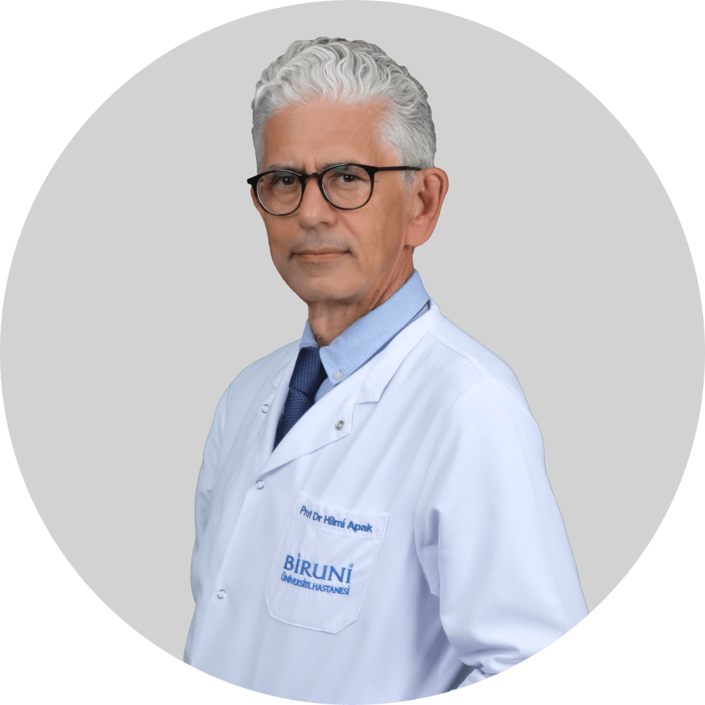 Prof. Dr. Hilmi Apak