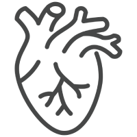 Cardiovascular Surgery