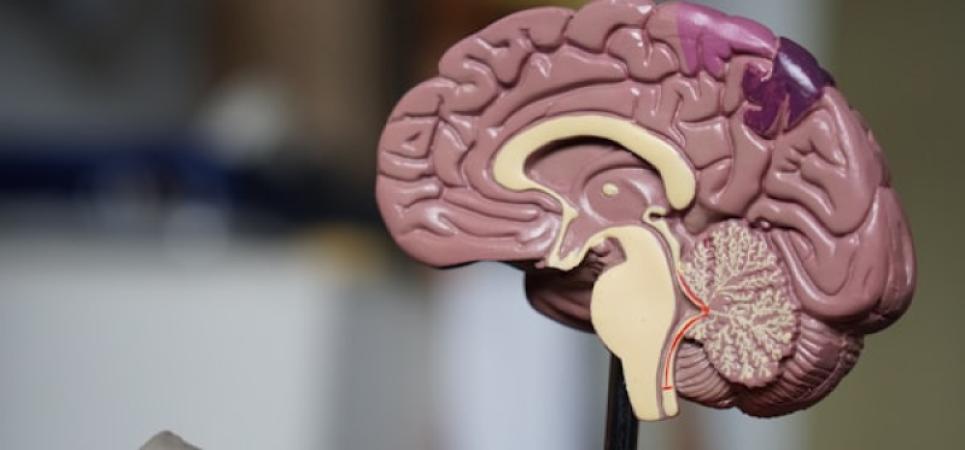 Neurosurgery Center